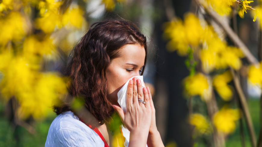 For pollenallergikere er det vigtigt at starte behandlingen tidligt på foråret, når de første symptomer viser sig. Foto: Shutterstock